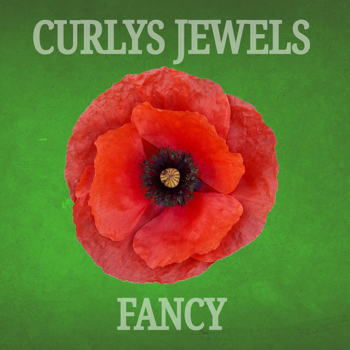 Curlys Jewels tweet media