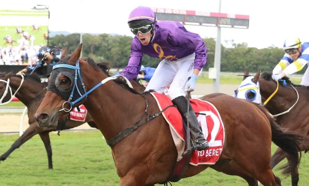richescameron's tweet photo. The 2023 Red Beret Hotel Cairns Cup Winner

The Driller
Trainer- John Manzelmann
Jockey- Adam Sewell

📸 Darren Winningham https://t.co/CUwF5bZM6p