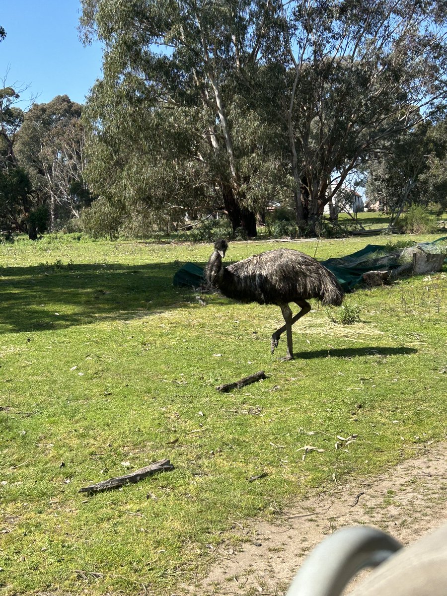 GarveyMrs's tweet photo. We are now learning about the Aboriginal people’s connection to the land @stpeterssws @stpeterssws https://t.co/B7LDRgRLjv