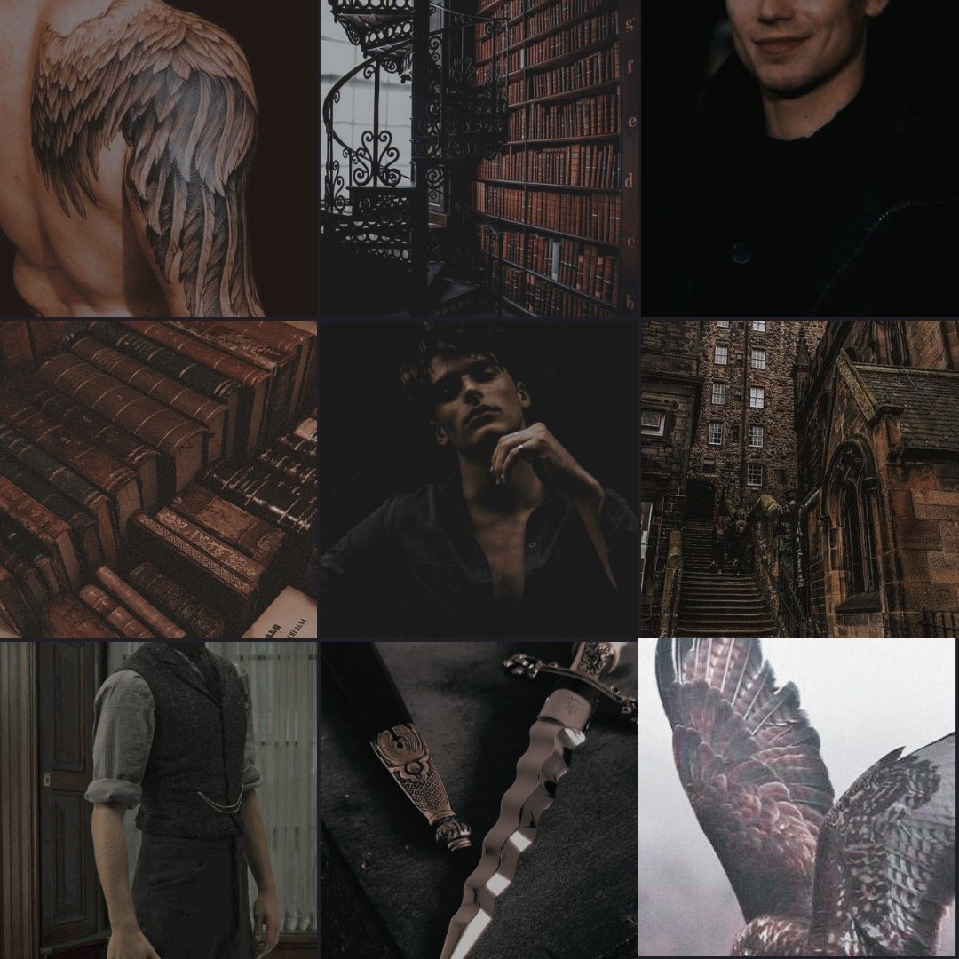 darellecowley's tweet photo. Day 20:
43006/80k completed. #BirdWIP flew past the halfway point today, so I made some character moodboards for my new favourite enemies to lovers pair, T and G https://t.co/FJ32ALpvET