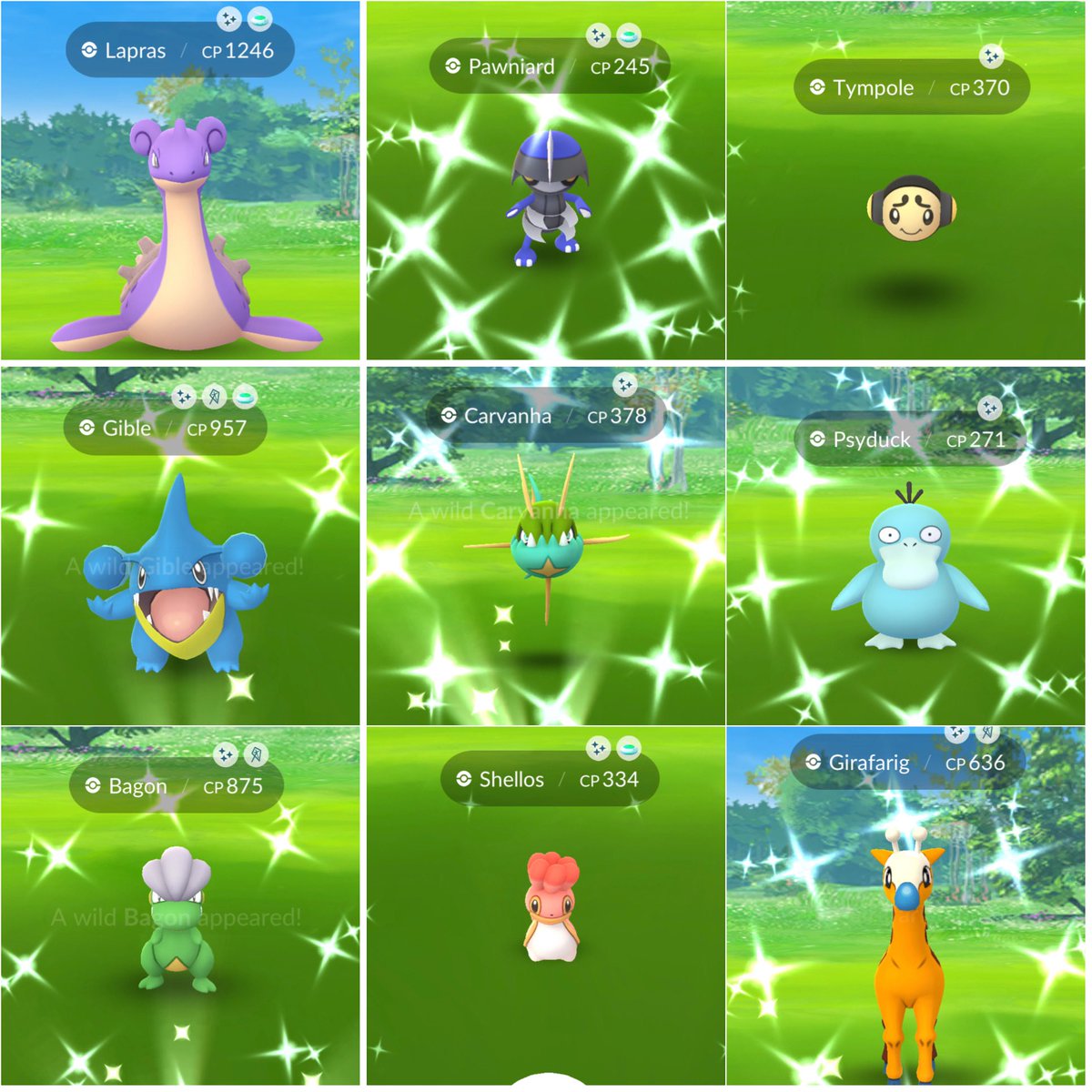 jujubee_gaming's tweet photo. 11 shinies today ๐ซถ๐ผ
#PokemonGO #pokemonglobalgofest https://t.co/WFJry9mwXr
