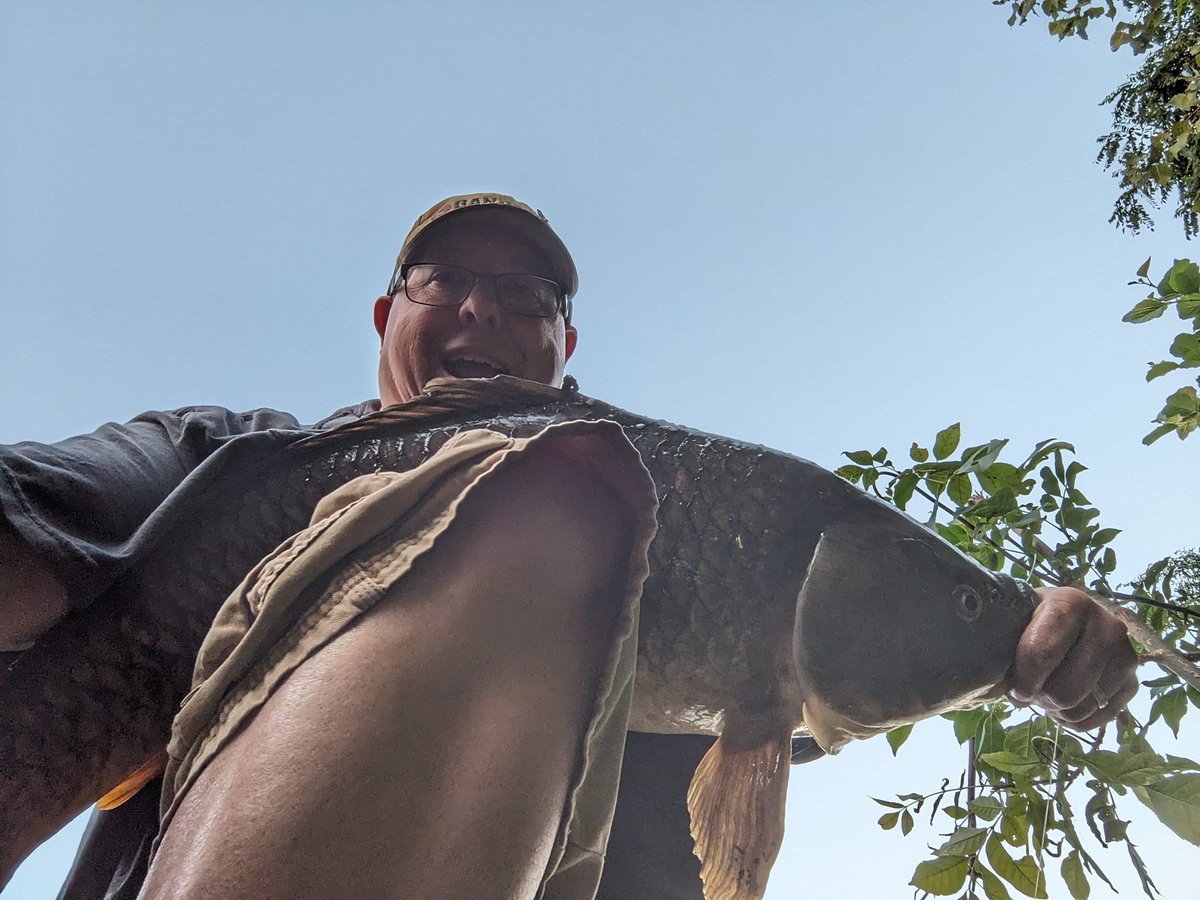 bigblue13329's tweet photo. Caught me a River Monster tonight!! https://t.co/2ZpE0Betu7