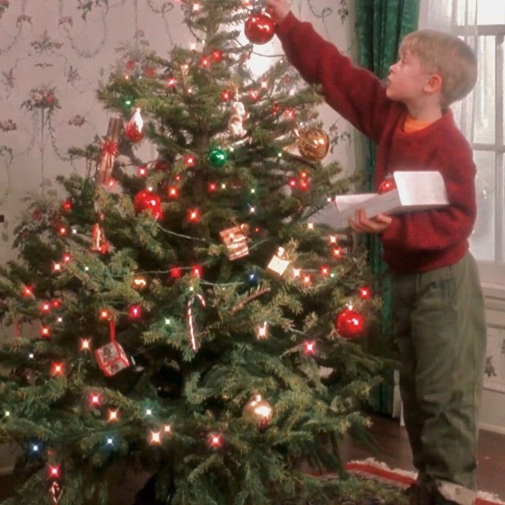 119 days left until Christmas🎄