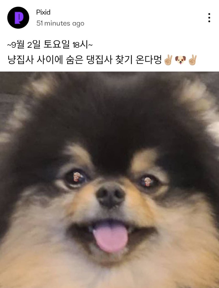 bts2023army2023's tweet image. TAEHYUNG WILL BE ON PIXID
🗓️ SEPT 2
⏰ 6PM KST

#V_Layover #Layover #bts #army #방탄소년단 #Taehyung #TAEHYUNG #BTSV #v #V #tae #taehyung #kimtaehyung #kth #btsv #vbts #김태형 #뷔 #テテ #btstaehyung #taehyungbts #방탄소년단뷔 #KiTaehyung #thv #taehyungie #taehyungbts #taehyungkim