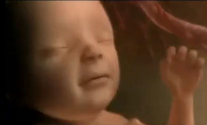 LifeNewsHQ's tweet image. Scientists: Brain Wave Patterns Show Unborn Children Recognize Words in the Womb buff.ly/2LPYYCG