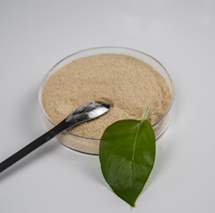 XingzhongCo's tweet photo. Denitrifying Bacteria (Anaerobic Bacteria)
Denitrifying bacteria, also known as anaerobic bacteria, play a crucial role in the nitrogen cycle by converting nitrate (NO3-) and nitrite (NO2-) ions into nitrogen gas (N2), which is released into the atmosphere. https://t.co/zNofRd3N2U