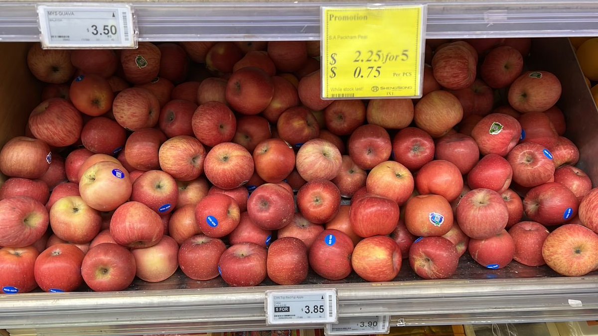 The Futurizts tweet media