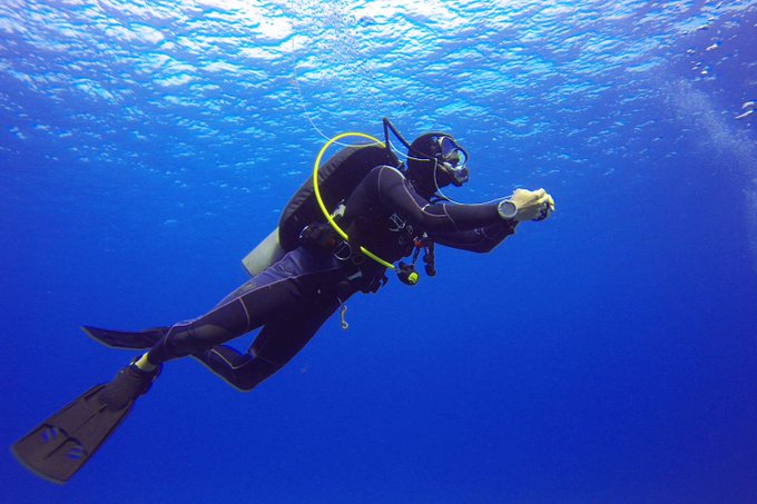 No te pierdas una aventura única en Gran Canaria buceando en sus hermosas aguas y conociendo la vida que se alberga debajo de la superficie marina.
Entra a la web de zeusdivecenter.com 
#divinggrancanaria