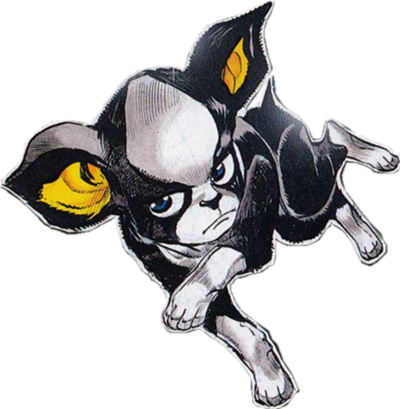 ZombieGrossCat's tweet photo. @ILLUSION3IL Iggy https://t.co/xoIRNTb9MP