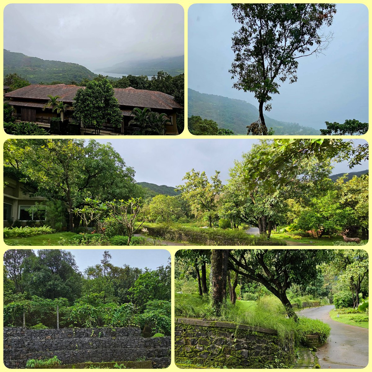 KNVaidy's tweet image. #MondayMusing

Civilisation is not urbanisation

#nature