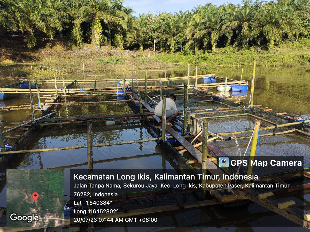 Kurdym6n's tweet photo. Kamis, 20/07/23, Kurdiman, Luhkan Kabupaten Paser, di Pokdakan Sungai Mbassar DS Muara Adang, mendampingi Unmul pendataan potensi perikanan
#giatluhkansatminkaltegal 
#paser #pendataan https://t.co/VIo7JxpyDC