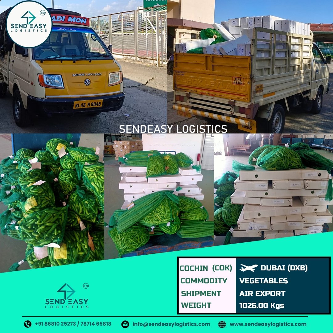 From Cochin 🇮🇳 to UAE 🇦🇪

#cochin  #sendeasylogisticscargo #airexport #airfreight #emirates #emiratesairline #dubai🇦🇪 #dubaiexport #bestexport #vegetables #freshveggies #bananaleaf #mixedvegetables #airlift #mallugram  #onam #sendeasylogisticscoimbatore #sendeasy