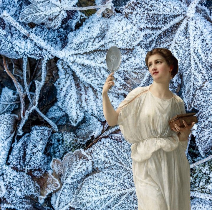 lunaroracle's tweet image. 