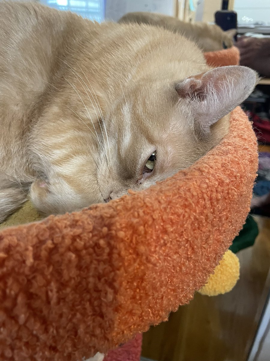 i am looking.