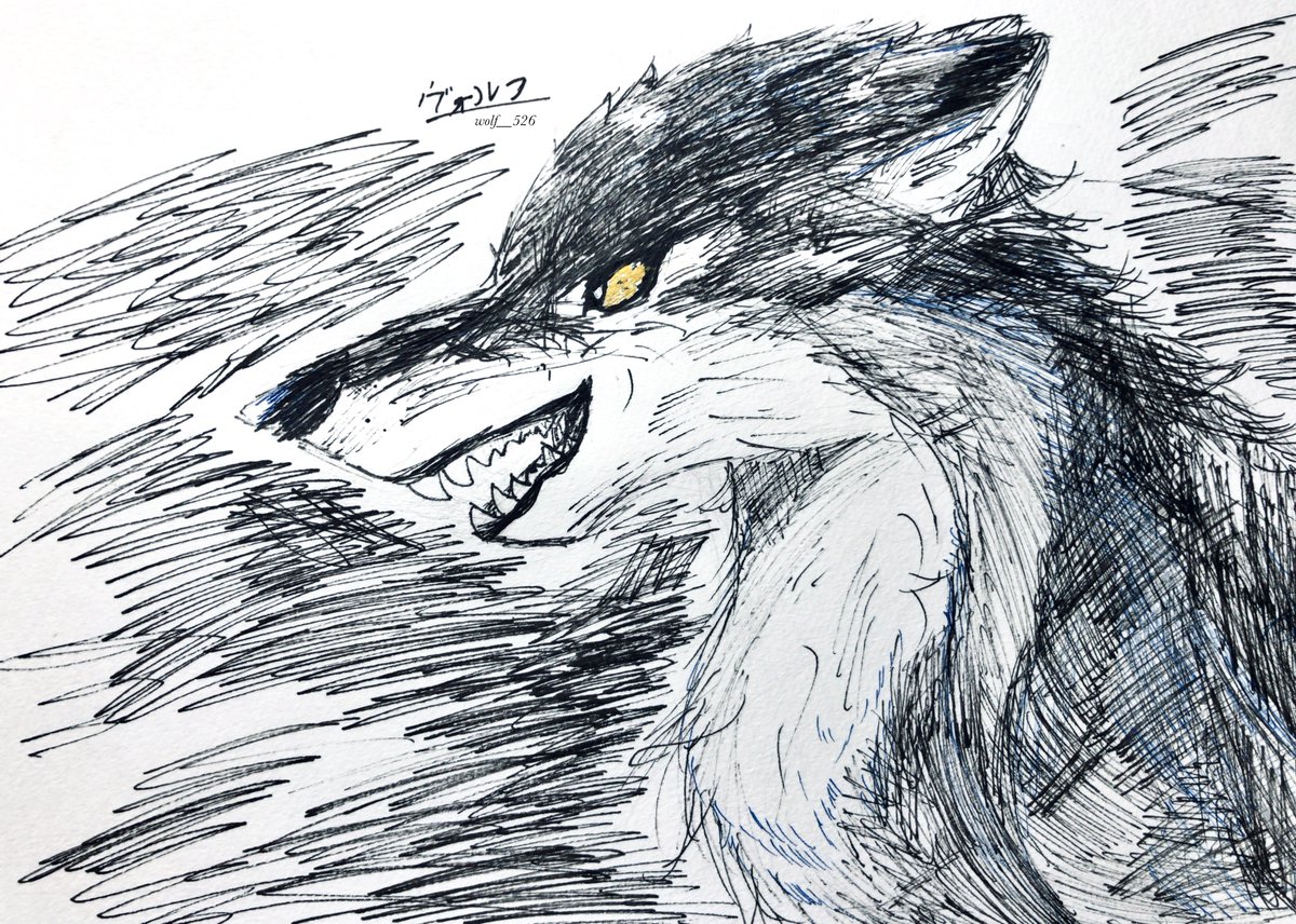 威嚇
#狼 #wolf #アナログイラスト #wolfart #ペン画 #ヴォルフのアート