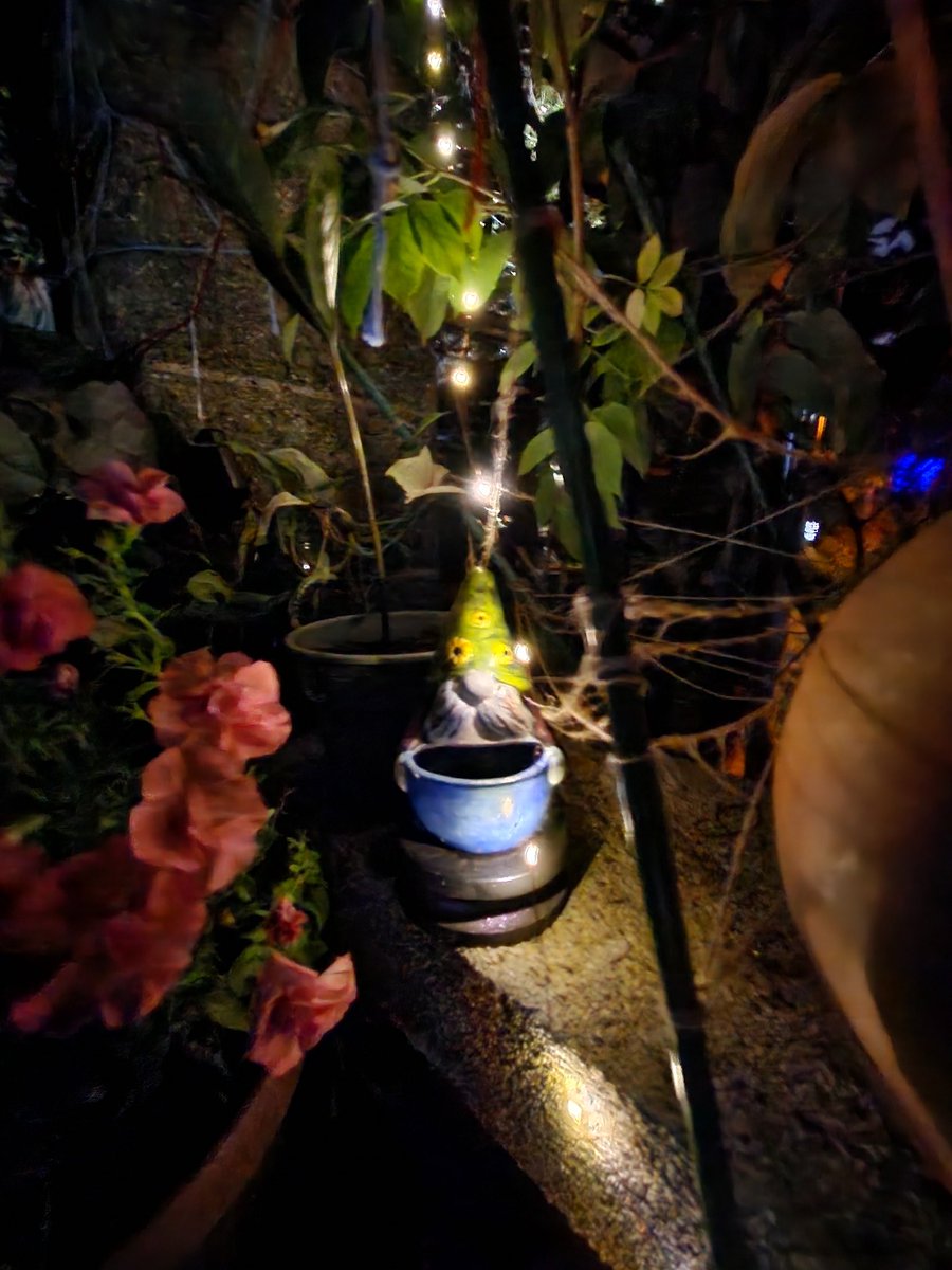 Jen4 Jordan; finger smasher & fierce bunny. tweet media