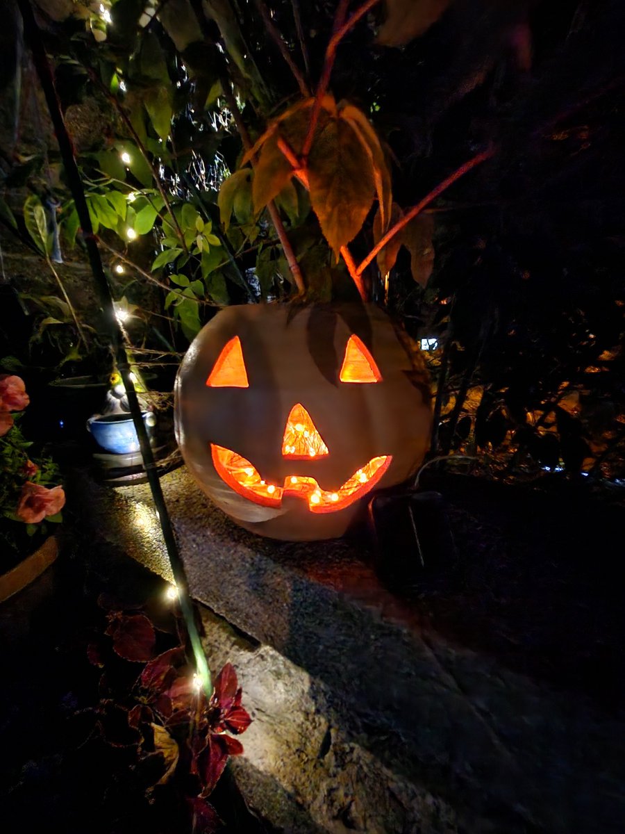 Jen4 Jordan; finger smasher & fierce bunny. tweet media