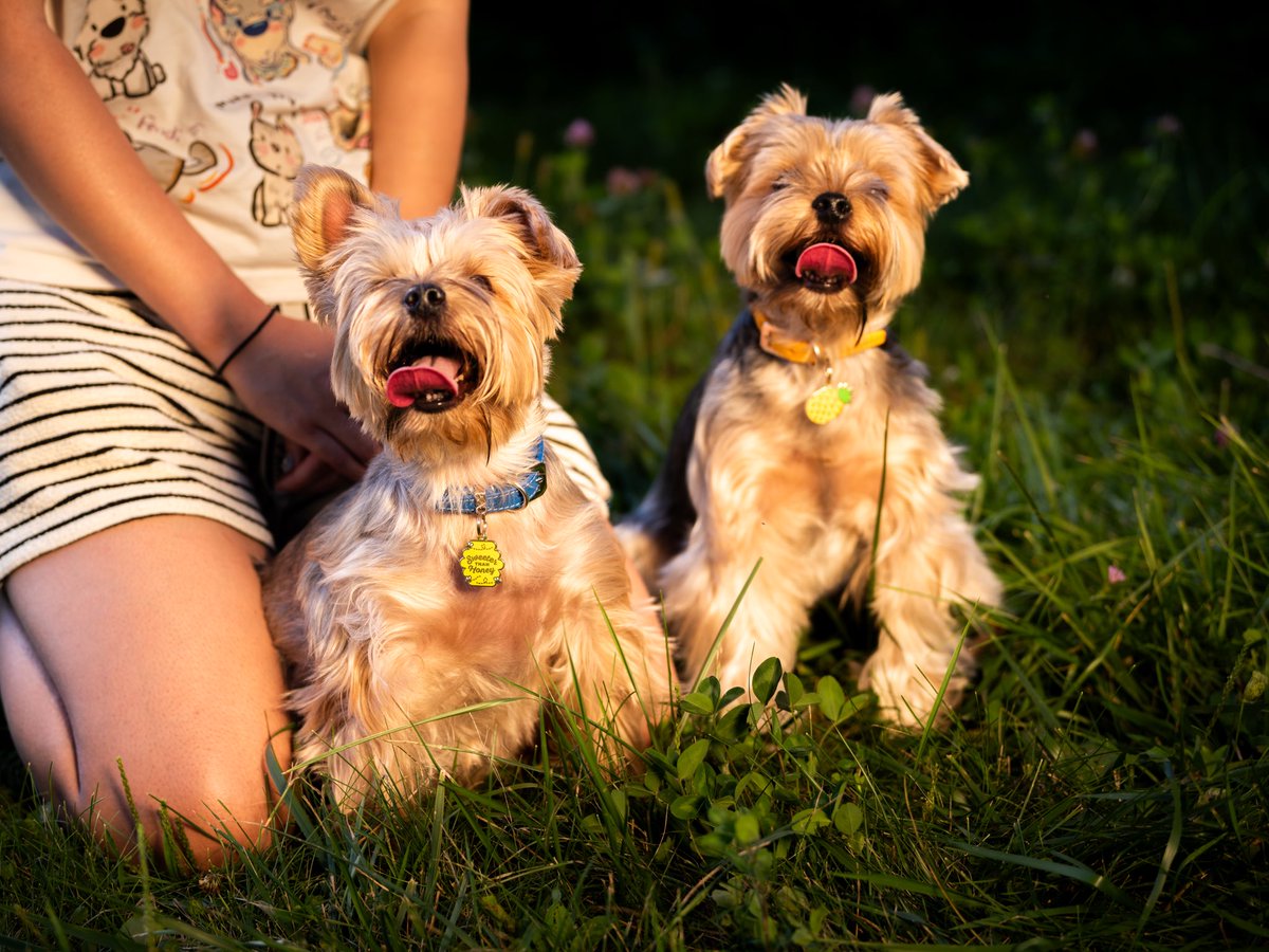 Wanting Wei tweet media