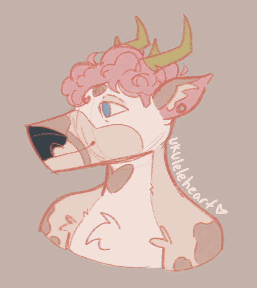 Rowan doodle