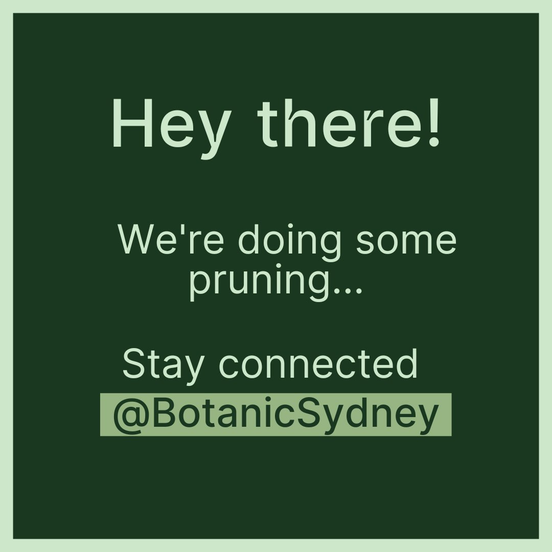 The Australian Botanic Garden tweet media
