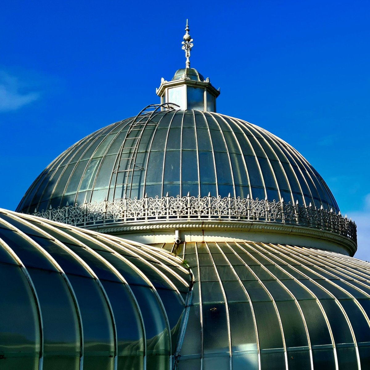 Good Morning, Glasgow. The Kibble Palace in the Botanic Gardens is looking spectacular in this morning's late summer sun. #glasgow#kibblepalace #botanicgardens #glasgowbotanicgardens #architecture #glasgowarchitecture #glasgowbuildings #glasshouse #botanicgarden #goodmorning