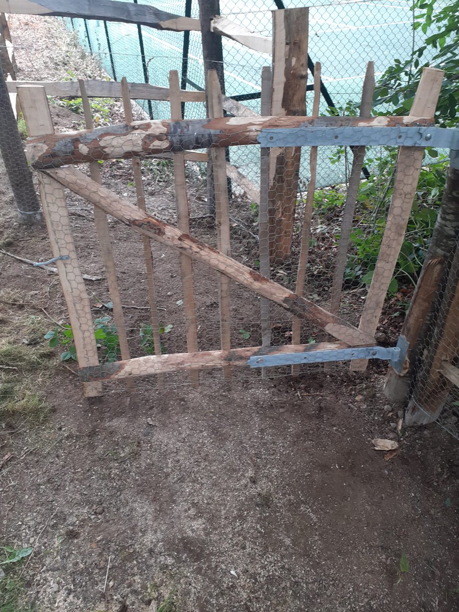 JonWalkerTimber's tweet photo. Here's a nice little job we completed recently 😎🛠

A log store, alongside chestnut post and rail fencing, completed with a chestnut gate and rabbit netting to keep the dog in the garden! 🤩🌿

Get in touch with us or visit https://t.co/MvMplgGVLw today for a FREE quote! 💪 https://t.co/yRezPUwnxL