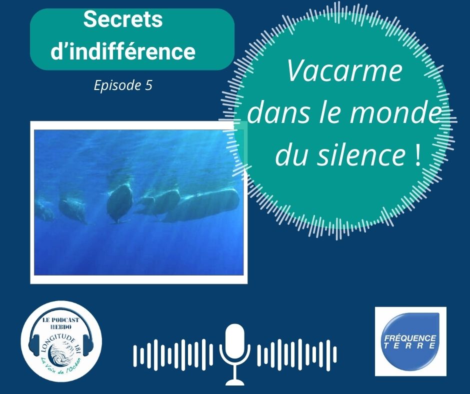 Longitude181 tweet media