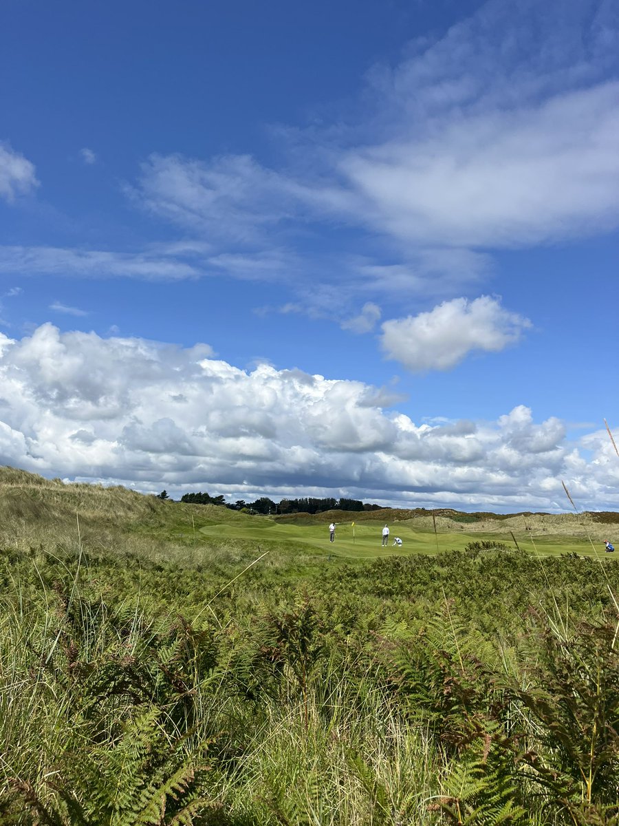 Mark Fox tweet media