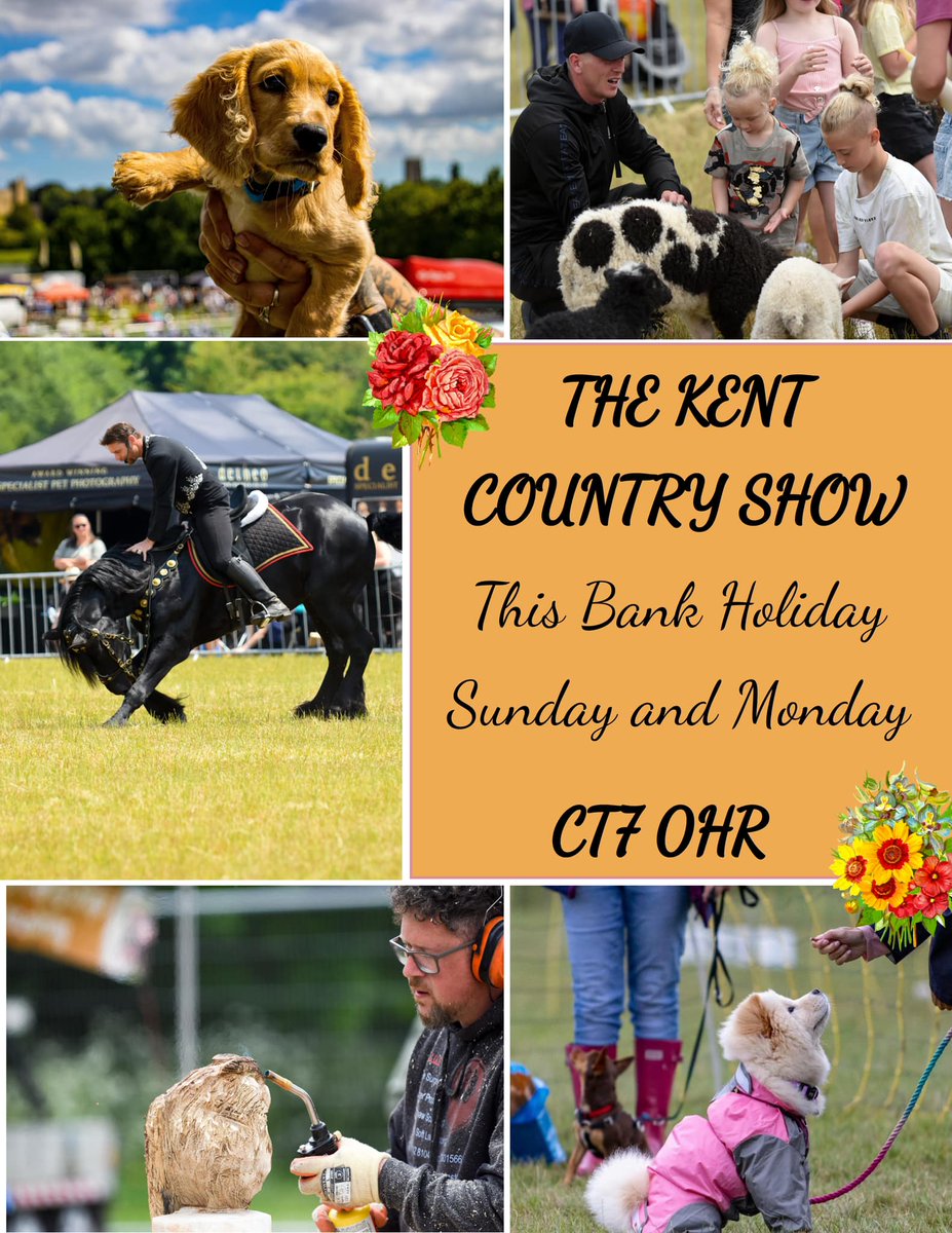 Quex Park tweet media