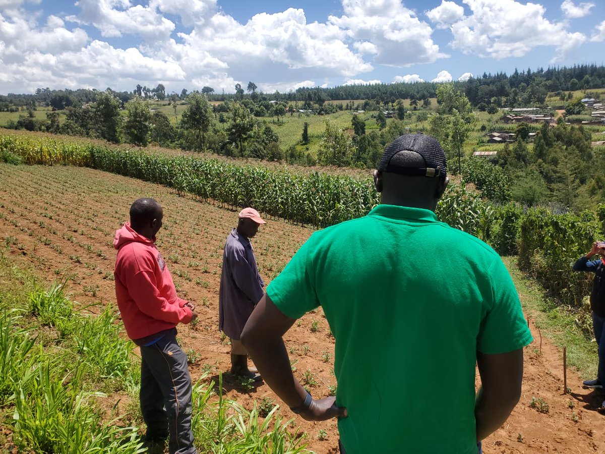 UjuziKilimo's tweet photo. In the heart of Nakuru County, our SoilPal tool, integrated with our FarmSuite software, is transforming farming. Thanks to these pioneering solutions, we're guiding farmers towards better soil management and smarter practices.
#AgriTechInnovation #SoilTestingRevolution https://t.co/3TIFwMv1og