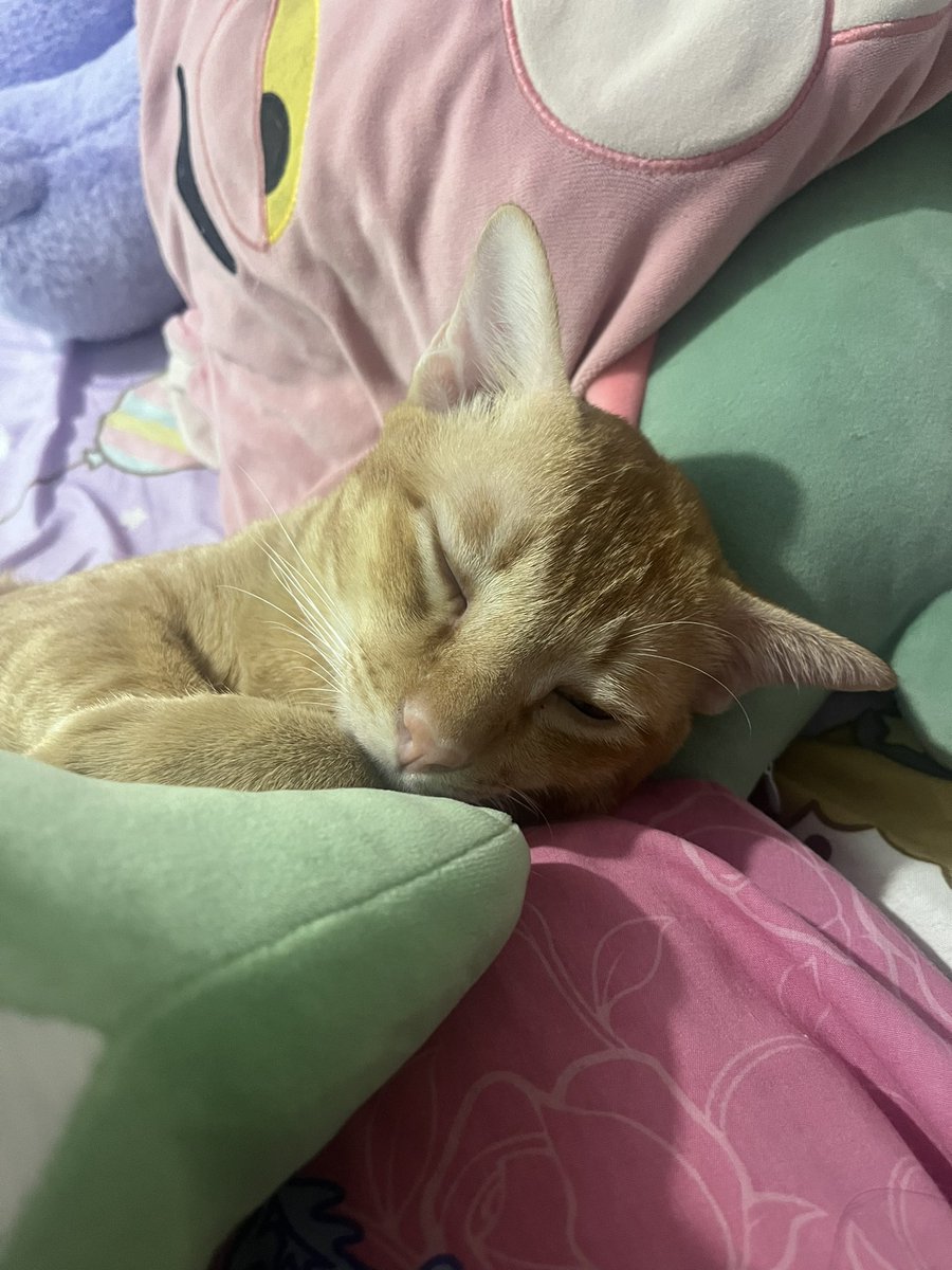 ฝันถึงอารายอ่ะพี่ด้ง