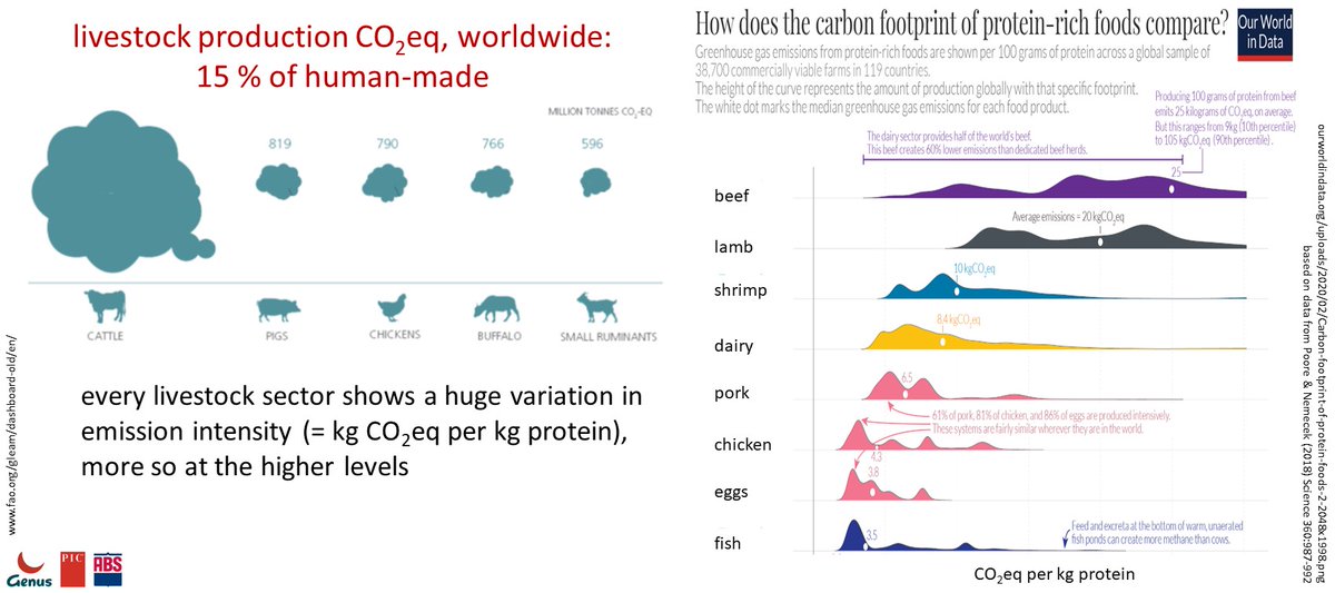 AnimalTaskFrc's tweet photo. 🔴 Breeding livestock for sustainable systems
By Pieter Knap #Genus-PIC
How to deal with bad outputs?
#EAAP2023Session02 @EAAPofficial @eaap2023Lyon https://t.co/ZBB82oUTDV