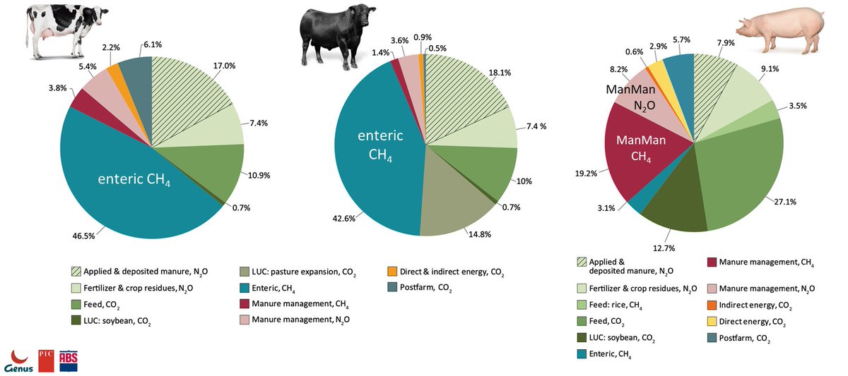 AnimalTaskFrc's tweet photo. 🔴 Breeding livestock for sustainable systems
By Pieter Knap #Genus-PIC
How to deal with bad outputs?
#EAAP2023Session02 @EAAPofficial @eaap2023Lyon https://t.co/ZBB82oUTDV