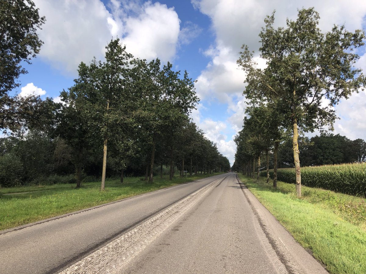 slimsteweg tweet media