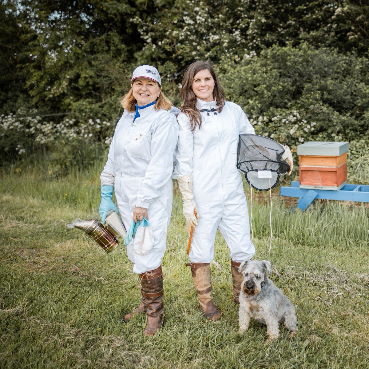 It was International Dog Day over the weekend so we wanted to dedicate a post to Miniature Schnauzer Max, the best four legged orchard and bee-keeping assistant in all the land 🐾

#internationaldogday #dogsofinstagram #miniatureschnauzer #orchard #distillerydog #beekeeping