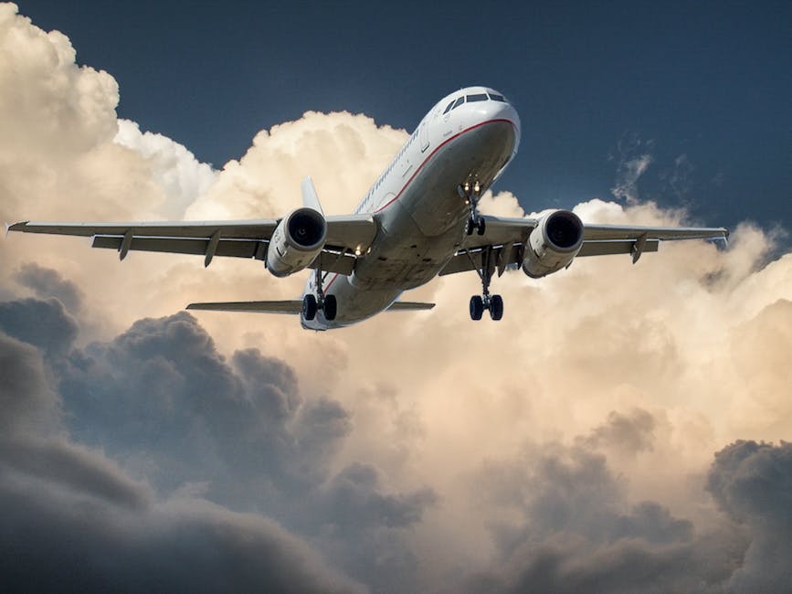 tcb_group's tweet photo. TCB Group; Ireland’s No.1 IATA Agent; TCB Group provide air freight services from Ireland to any location globally. Perishable, oversized, hazardous, hand carry, we’ve got it covered. Contact TCB Group for the best air rates and number one service. https://t.co/nAnMrOVCY7