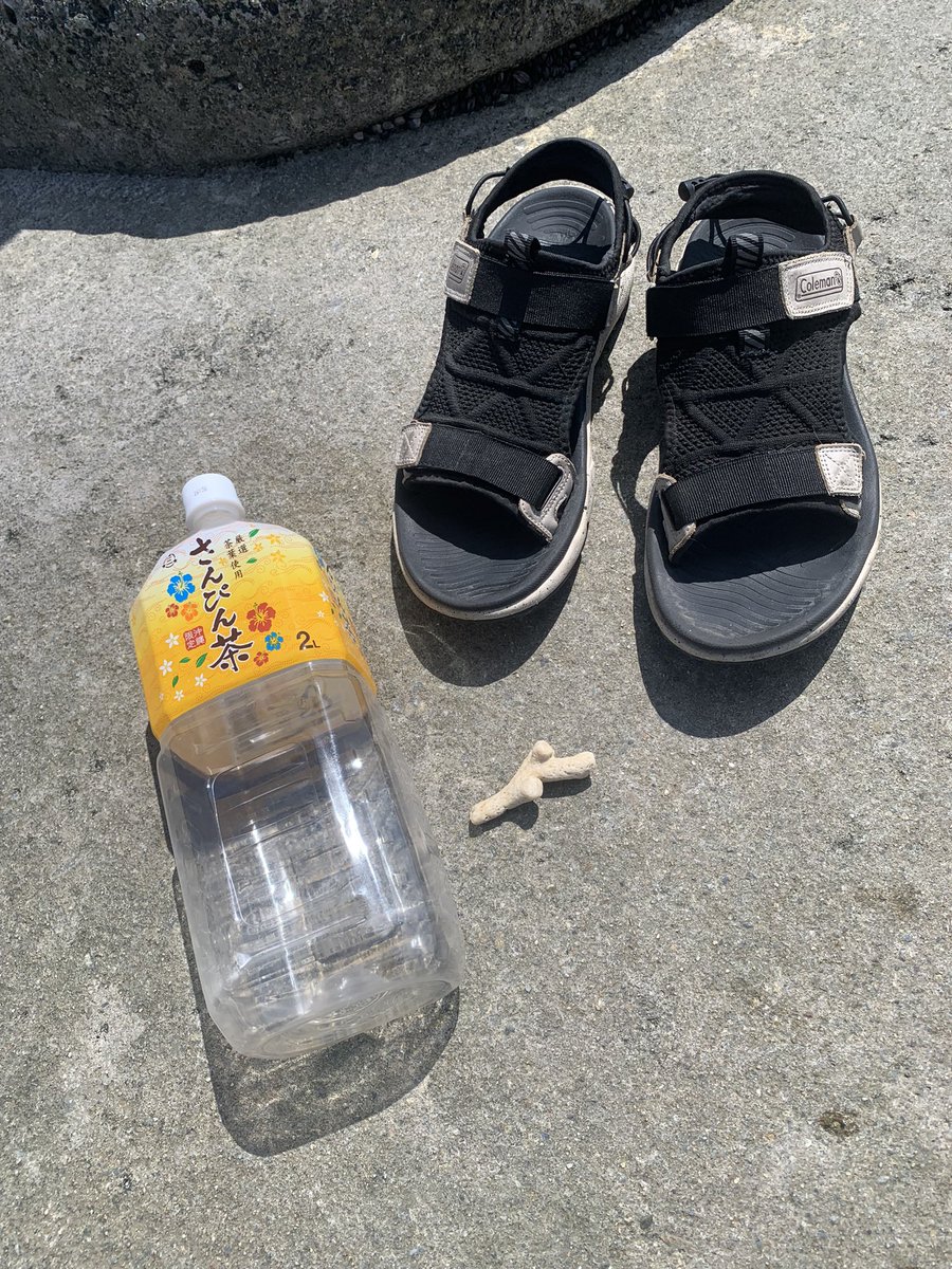 DRIBBLA0828's tweet photo. 沖縄で誕生日を迎えさせていただきました◎
自分は本当に周りの皆さんに生かされているなぁ〜と実感しております。
昨日のライブも全部出し切らせてもらって、最後にギターまでやらせてもらって感無量です♪
今年一年も宜しくお願い致します!!
#dribbla
#沖縄
#普天間
#blocklink
#soulpower https://t.co/Lq5jtaGfJg