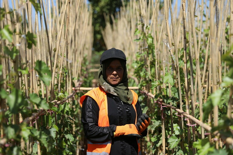 .<a href="/CARE/">CARE (care.org)</a> &amp; <a href="/org_violet/">منظمة بنفسجᅠᅠᅠᅠᅠᅠᅠᅠᅠᅠᅠᅠᅠᅠᅠᅠᅠᅠᅠᅠᅠᅠᅠᅠᅠᅠᅠᅠᅠᅠ</a> created 300 #Cash-for-work opportunities in northwest #Syria, to support basic needs like #food &amp; livelihoods. 
Kholoud &amp; her 7 #children rely on this support.
After 12 years of conflict, 4.1 million people in #NorthWestSyria are in need of #humanitarian aid.