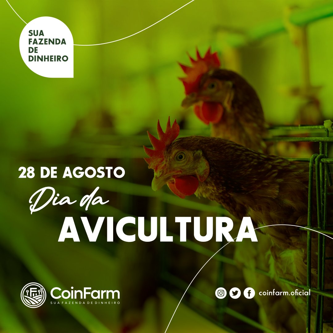 coinfarmoficial's tweet photo. A avicultura é a criação e produção de aves, com o propósito principal de obter carne e ovos, seja para consumo próprio ou para comercialização.
#coinfarm #suafazendadedinheiro #agronegocio #safra #graos #milho #soja #NFT #gado #nftdofazendeiro #fazendascoinfarm #exportacao https://t.co/miTNYk9N8f
