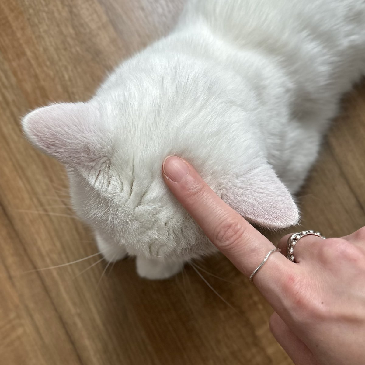 วันนี้มีเพาเวอร์แบงค์สองก้อน 🧁🤏🏻