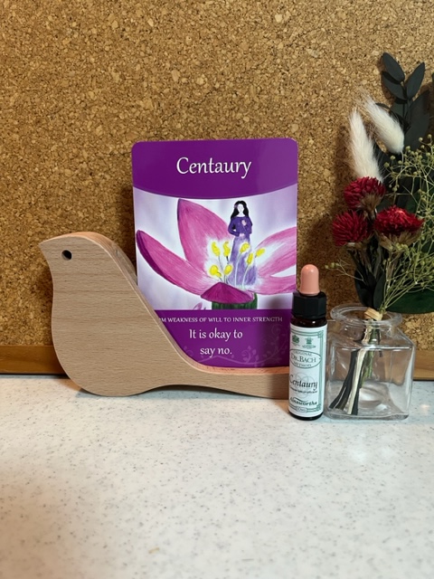 888_ouka's tweet photo. 8/29 🌸今日のあなたへのメッセージ

4.Centaury　～セントーリー～

❤️‍🩹意志が弱く嫌と言えない
❤️‍🩹お人好しで損ばかり
❤️‍🩹自己犠牲を強いられる

⬆️　手放してみると　⬇️

✨穏便に断ることができる
✨自分の人格を守れる
✨自己主張ができる

#フラワーレメディカード　#今日のワード　#占い https://t.co/O8dkkUuSyQ