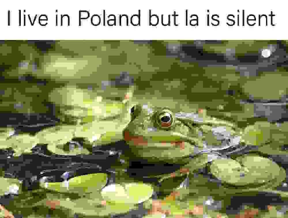 I took the hopppp, to Poland 🐸

$HOPPY #HOPPY