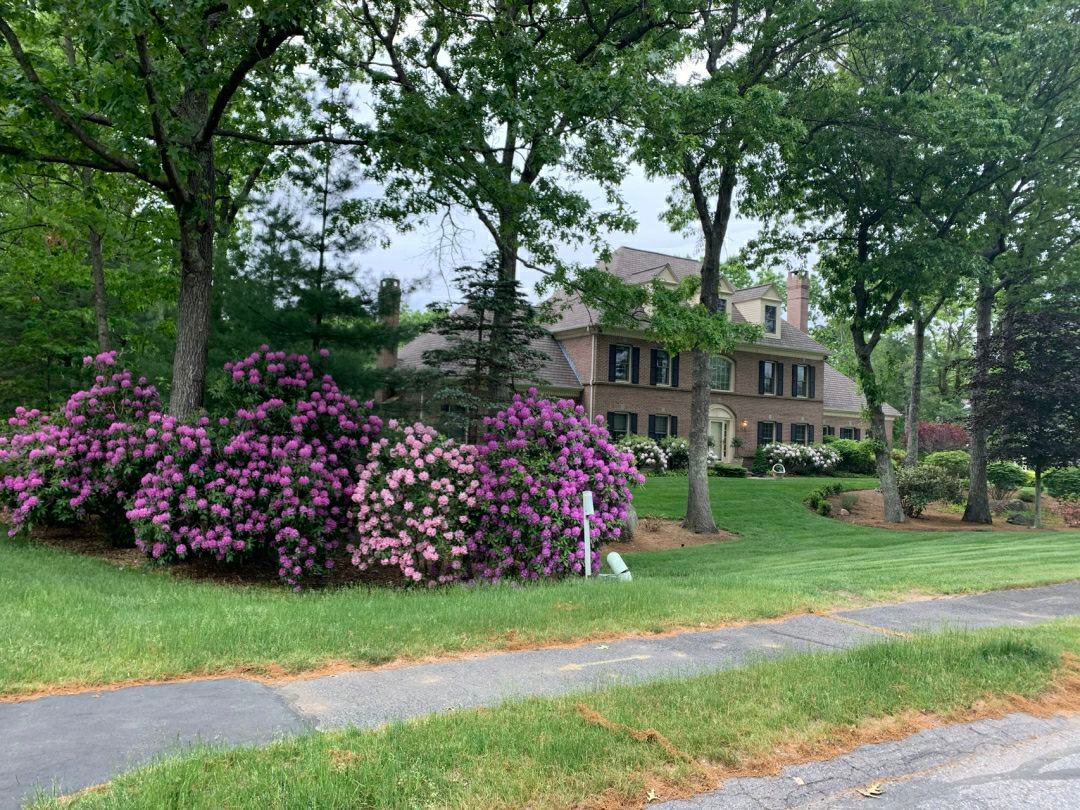 basco925's tweet image. Rural American life in comfort and beauty is simply wonderful