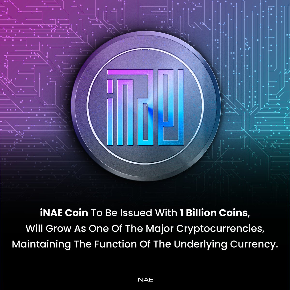 iNAE tweet media