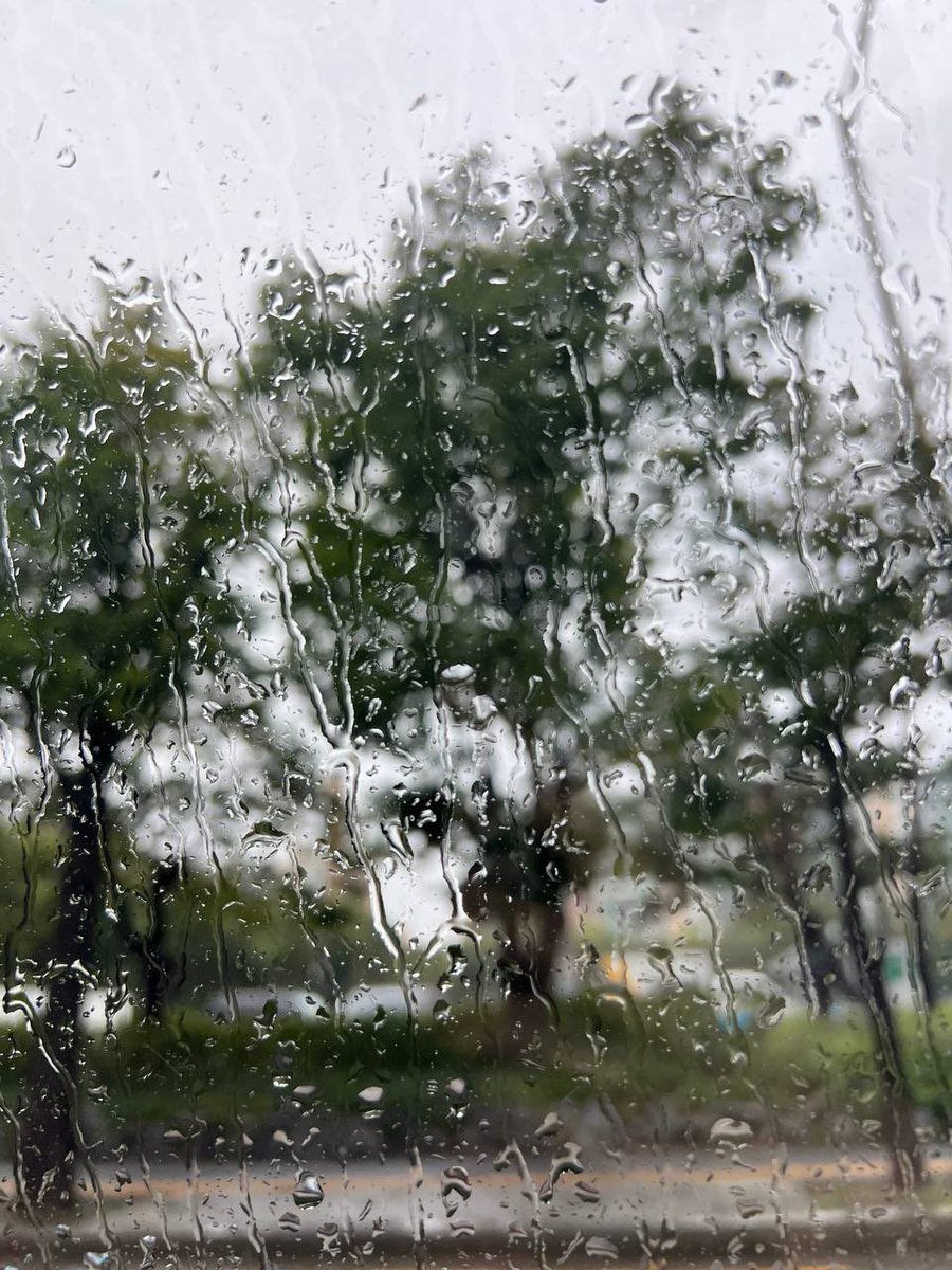 smrookies's tweet photo. [시온] 🌧️🐾🎧

#시온 #SION
#SMROOKIES #SR23B https://t.co/SynZYqR6xO