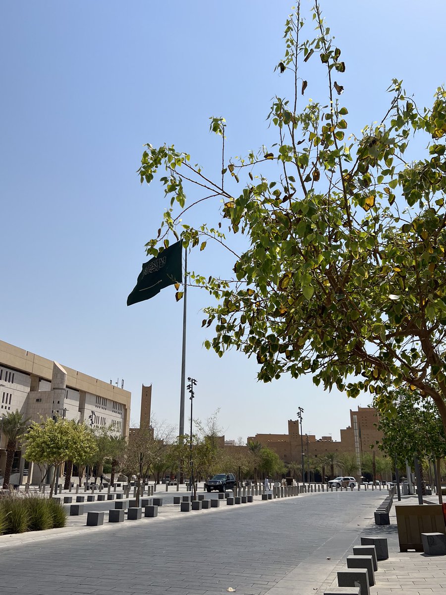 سارة الكود tweet media
