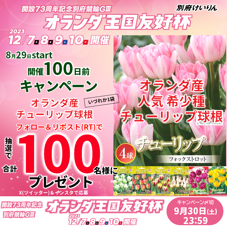 keirin_pr_beppu's tweet photo. ＼合計1⃣0⃣0⃣名にプレゼント🎁／
別府記念🇳🇱#オランダ王国友好杯 💯日前キャンペーン
🌷オランダ産希少種チューリップ球根🎁

📌応募
@keirin_pr_beppuフォロー＆投稿リポスト(RT)
⚠️9/30 23:59〆切

詳細はこちら⏬
https://t.co/cUkpSMEb3d

#別府けいりん #トキメキはじめる #別府記念 #拡散希望 https://t.co/DVK9TnmtMs