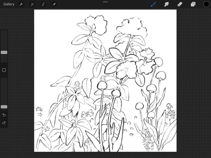 wip I started drawing some flowers in front of me in a garden, no sketch finding this process peaceful, there is a heightened gentleness  Maybe because when I sketch I love to sketch Fast