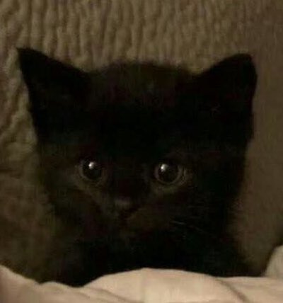 ป๋มยี่สิบสี่แล้วฮะ