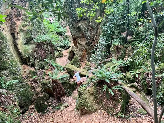 El Parque Mitológico Mina Pepita es un divertido e interesante plan para descubrir la mitología cántabra acompañados por los más pequeños de la familia
Más información y reservas 👇 buff.ly/45e6D7k
#Solares #Cantabria #MinaPepita
<a href="/cant_infinita/">Cantabria Infinita</a> <a href="/mediocudeyored/">Medio Cudeyo en Red</a>